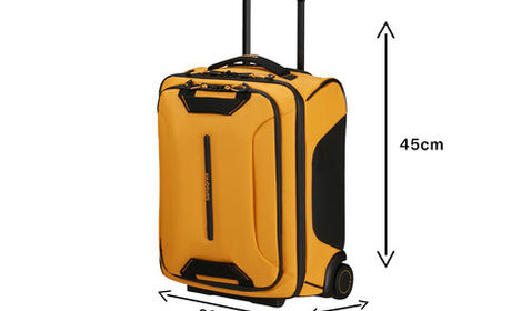 Kostenlos an Bord von EasyJet