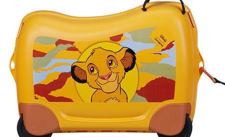 Abnehmbarer Schultergurt