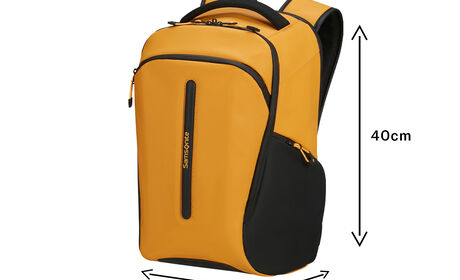 Kostenlos an Bord von Ryanair