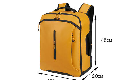 Kostenlos an Bord von EasyJet