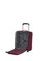 Cloudrider Upright (2 wheels) S/M