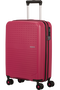 Summer Hit Trolley mit 4 Rollen 55cm