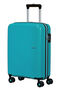 Summer Hit Trolley mit 4 Rollen 55cm