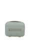Dreami Beauty Case