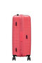Flashline Pop Check-in Gr&ouml;&szlig;e M | American Tourister Flashline Pop Spinner Exp TSA 67cm  Coral Pink