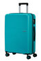Summer Hit Trolley mit 4 Rollen 66 cm