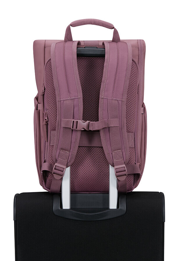 Urban Tide Rucksack 14'' rolltop 14" | American Tourister Urban Tide Rolltop Laptop Backpack 14'  Galactic Mauve
