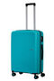 Summer Hit Trolley mit 4 Rollen 66 cm