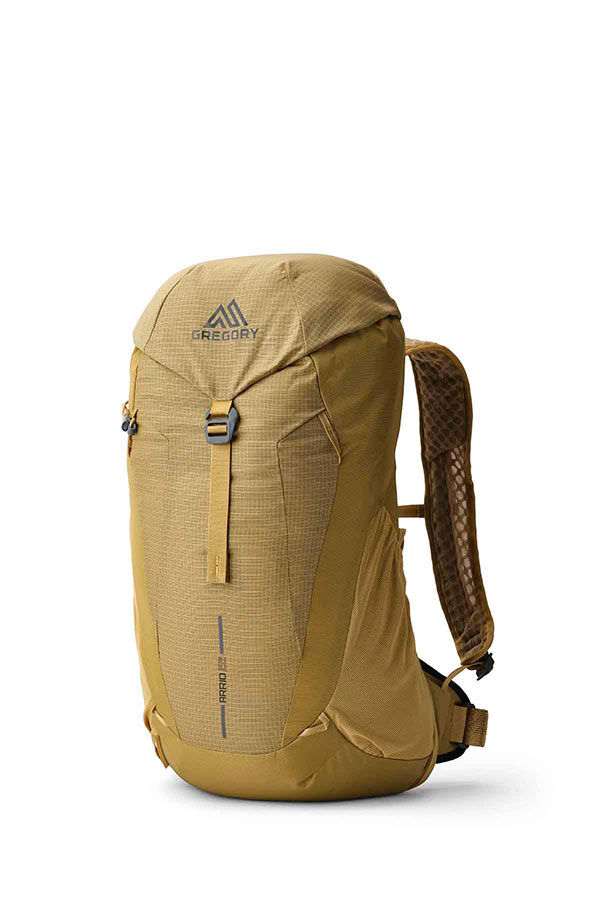 Gregory  Arrio 22 RC  Amber Haze