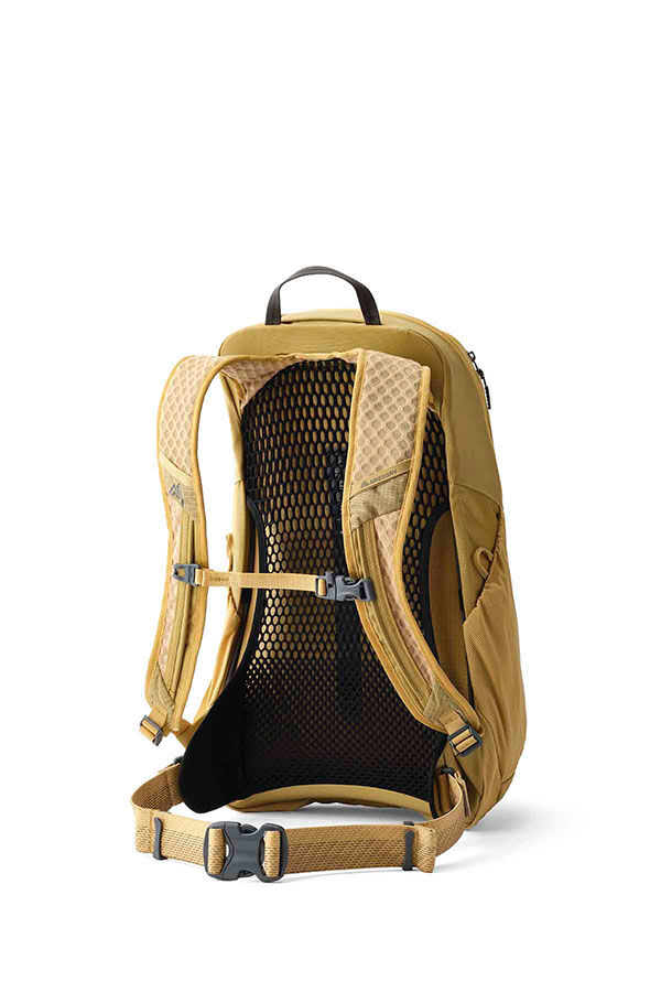 Gregory  Arrio 20 RC  Amber Haze