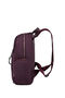 Samsonite Karissa Evo Daily Backpack  Burgundy
