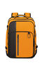 Biz2Go 2 3-in-1 Travel Backpack 17.3"
