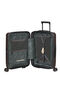 Prodiver Trolley mit 4 Rollen erweiterbar 55cm | Samsonite Prodiver Hs Spinner Expandable 55cm  Coffee Bean