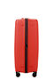 Prodiver Trolley mit 4 Rollen erweiterbar 81cm