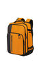 Biz2Go 2 3-in-1 Travel Backpack 17.3"