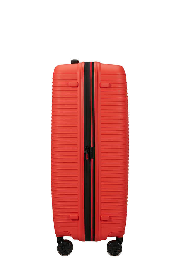 Prodiver Trolley mit 4 Rollen erweiterbar 75cm